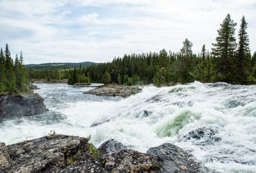 Vattnet rusar i dimforsen