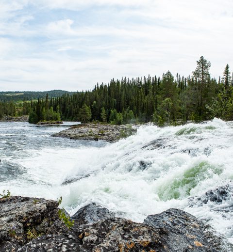 Vattnet rusar i dimforsen