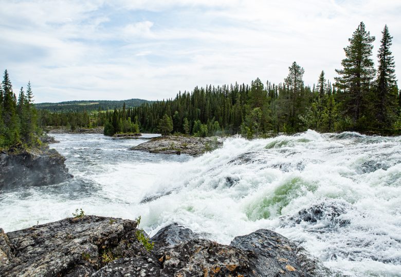 Vattnet rusar i dimforsen